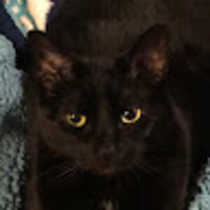 Meet your Posher, Kathleen